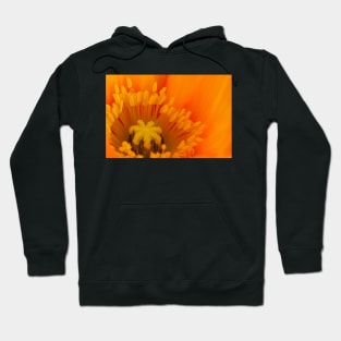 Poppy centre Hoodie